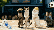 틴더스 GIF