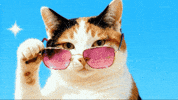 포카리팝 GIF