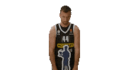 Partizan Sticker by sportmts