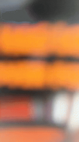 Chica Monty GIF by Youtooz