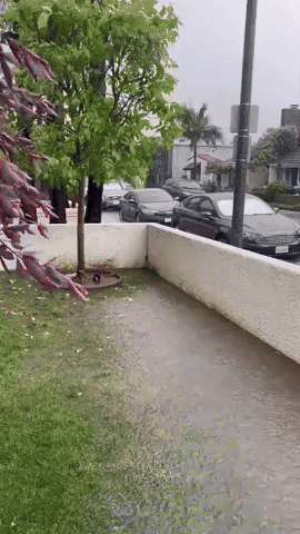Flash Flooding Hits Long Beach as Atmospheric River Soaks California