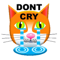 Sad Cat Sticker by PEEKASSO