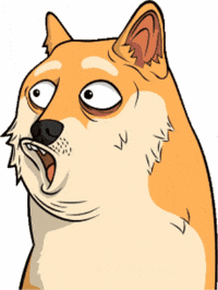 Shocked No Way GIF by Doge Pound
