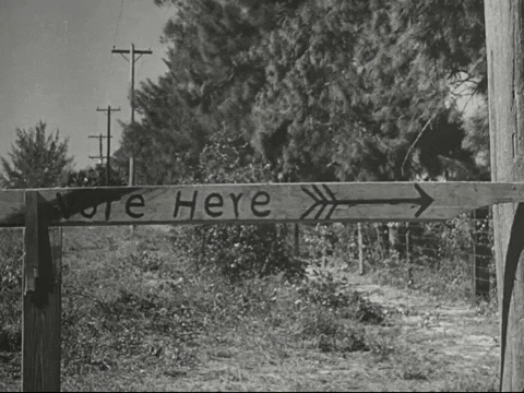 Election Day Vote GIF by US National Archives