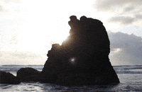 water beach GIF by hateplow
