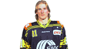 Del Pinguin Sticker by Krefeld Pinguine