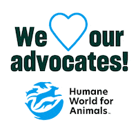 Humaneworld Sticker by Humane World for Animals