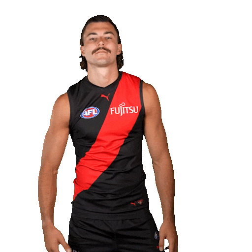 Football Sport Sticker by Essendon FC