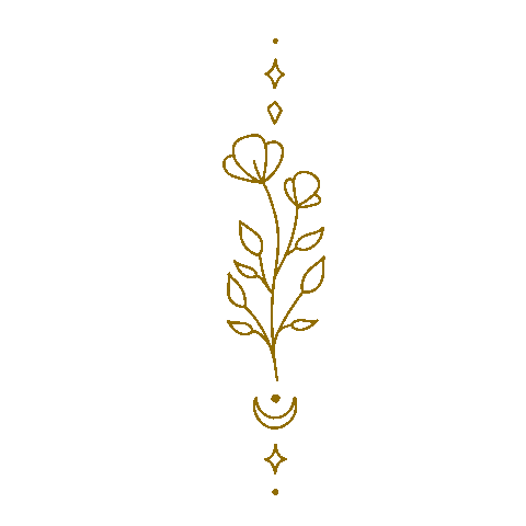 Alisovna giphyupload flower stars magic Sticker