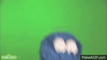 cookie monster eating GIF