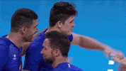 Celebrate Lets Go GIF by Volleyball World