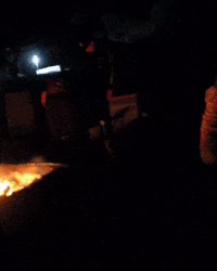 Dog Bonfire GIF