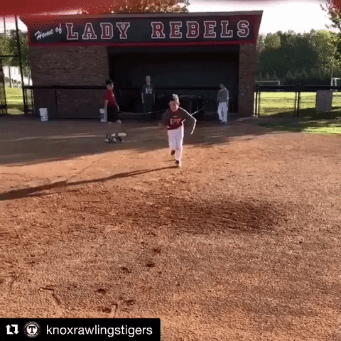 rawlingstigers giphygifmaker baseball running mlb GIF