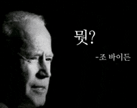 Joe Biden What GIF