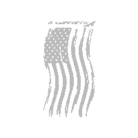 Usa Us Flag Sticker by RampCheckGlobal