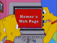 homer simpson episode 6 GIF