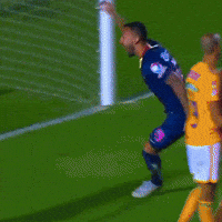 Football Soccer GIF by Club America