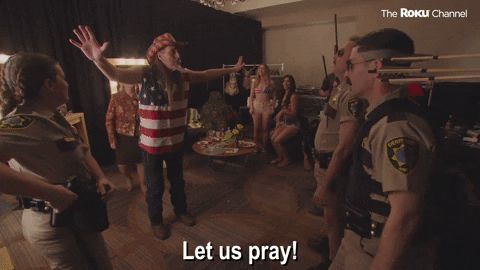 Reno 911 GIF by The Roku Channel