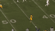 College Football GIF by WVU Sports