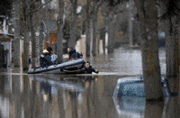 france paris GIF by euronews