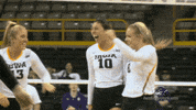 volleyball vb GIF by University of Iowa Hawkeyes Athletics