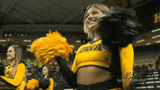 volleyball vb GIF by University of Iowa Hawkeyes Athletics