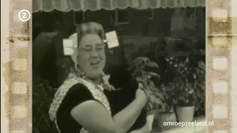 omroepzeeland giphygifmaker GIF