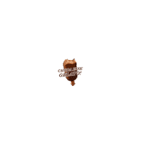 CacauShowOficial chocolate gelato cacaushow felizhoje Sticker