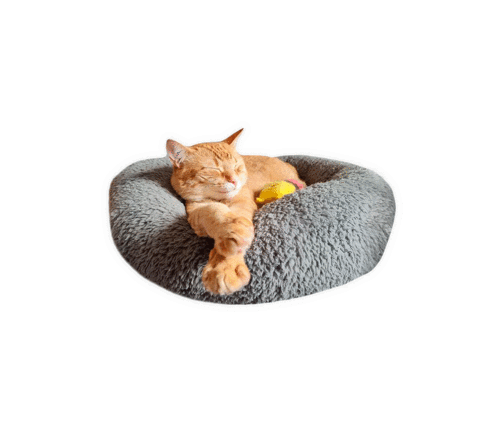 Sleep Cat Sticker by Rubicat