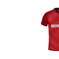 Esports S6 Sticker by Sector Six