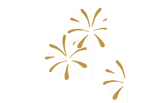 New Year Fireworks Sticker
