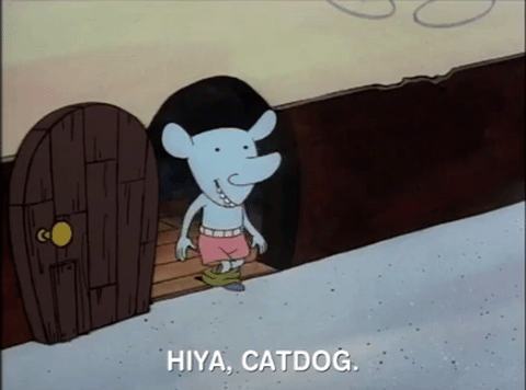 nicksplat GIF