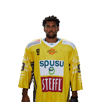 Capitals Ebel Sticker by Erste Bank Eishockey Liga