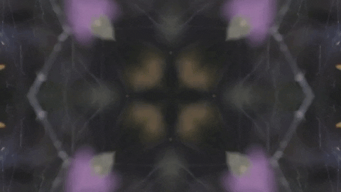 Art Love GIF by jorgemariozuleta