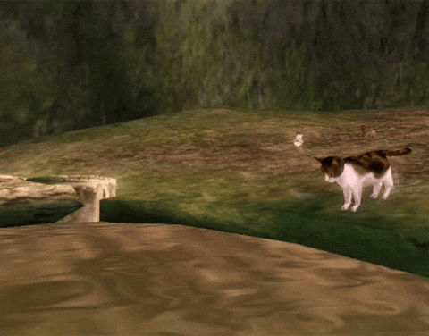 giphyupload GIF
