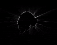 MezcalElSilencio black magic rabbit god GIF