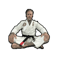 Bjj Jiujitsu Sticker by Hell City