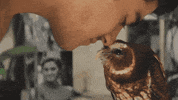 GIF by Giffffr