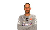 Handball Kézilabda Sticker by csurgóikk