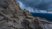 washington GIF