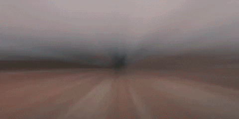 wisconsin GIF