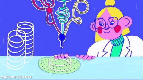 Cell Culture Animation GIF by Massive Science