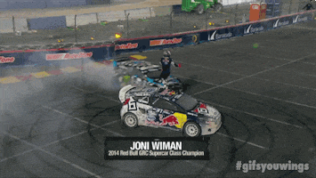 rally wtf GIF by Red Bull