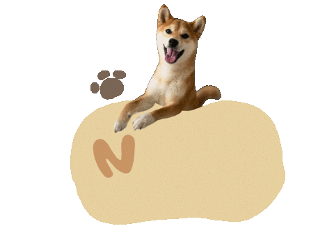 柴犬 Sticker