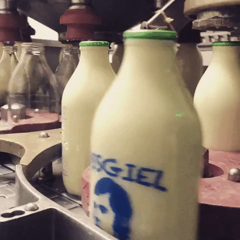 Milk Cream GIF by Mossgiel Farm