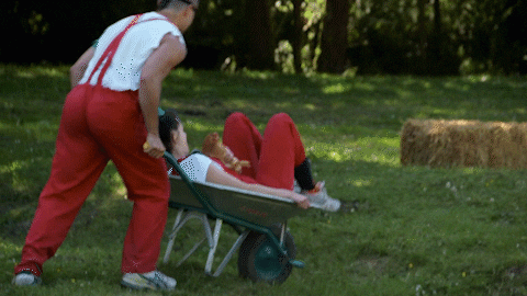 Euskara Euskalherria GIF by EiTB