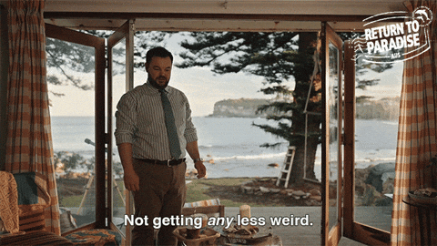 Return To Paradise Thats Weird GIF by Death In Paradise