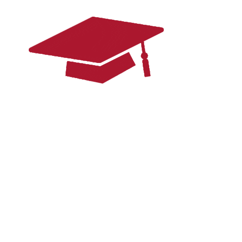grad luoa Sticker by LUOnlineAcademy