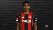 Eintracht Frankfurt GIF by Bundesliga