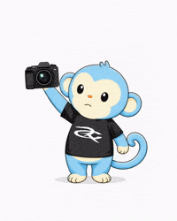 Photography Camera GIF by Respective
